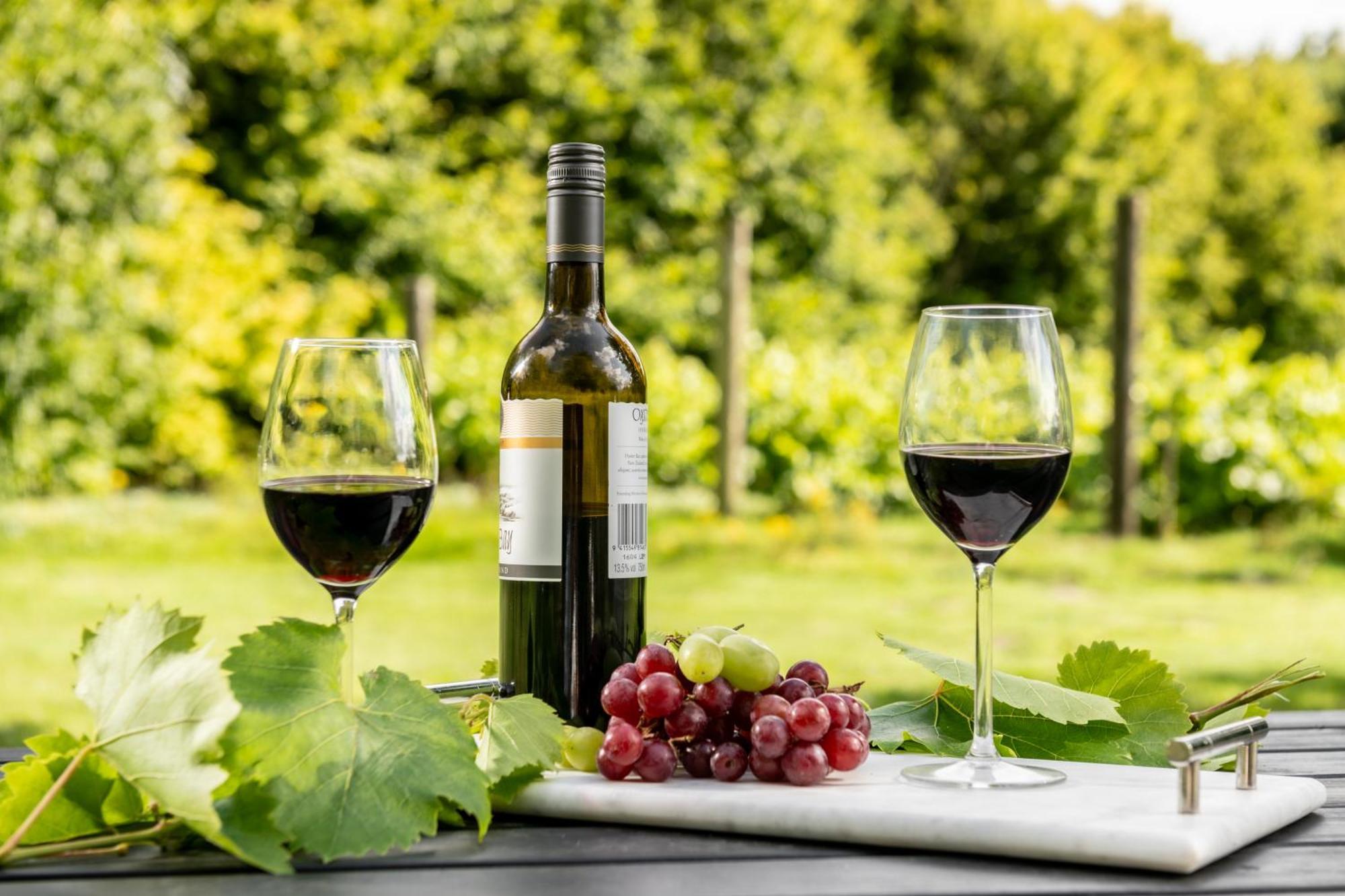 Downwood Vineyard Manor In Idyllic Countryside Villa Blandford Forum Ngoại thất bức ảnh