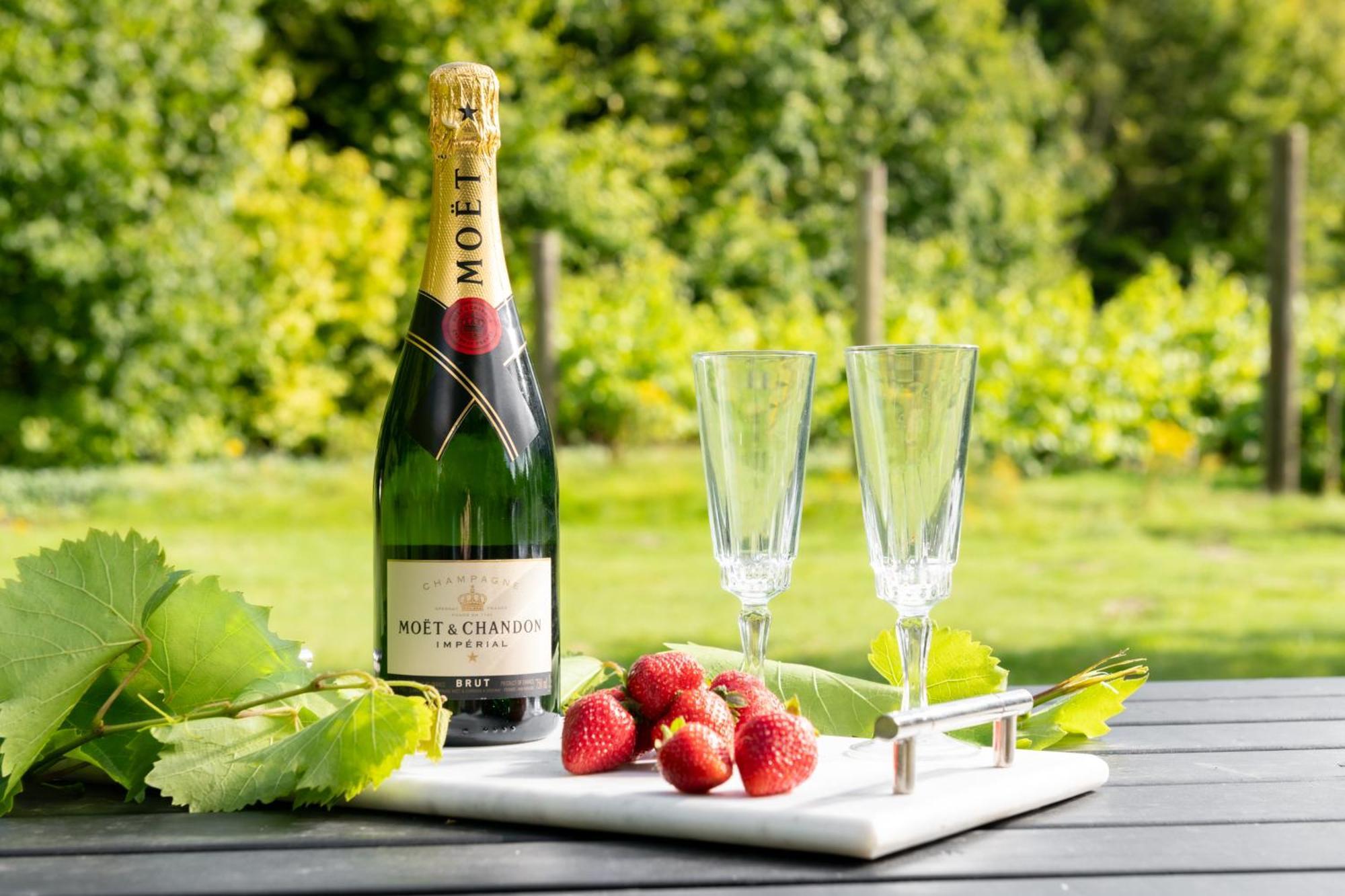 Downwood Vineyard Manor In Idyllic Countryside Villa Blandford Forum Ngoại thất bức ảnh